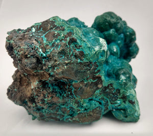 Botryoidal Chrysocolla