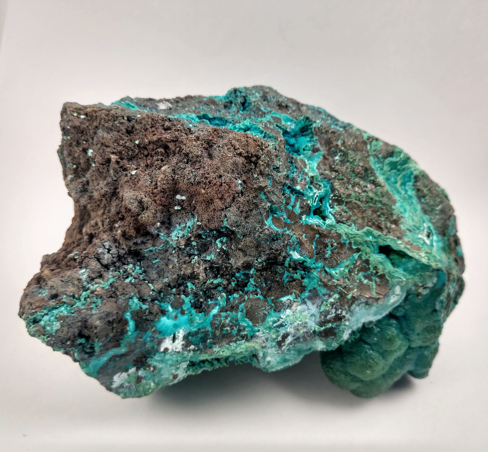 Botryoidal Chrysocolla