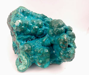 Botryoidal Chrysocolla