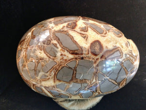 Septerian egg