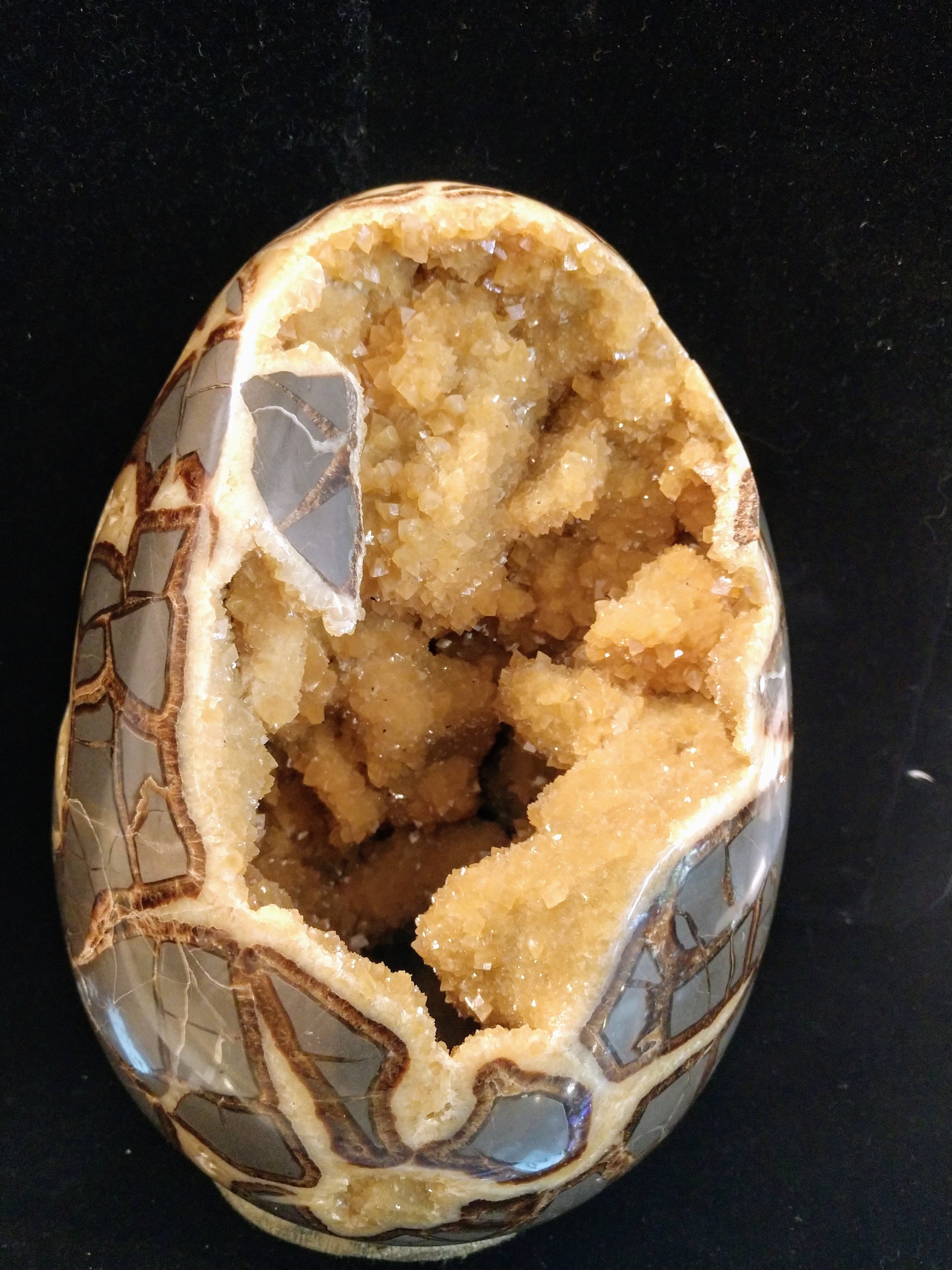 Septerian egg