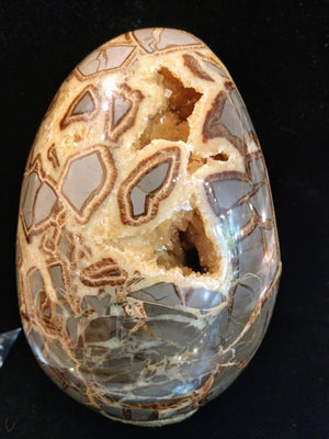 Septerian egg