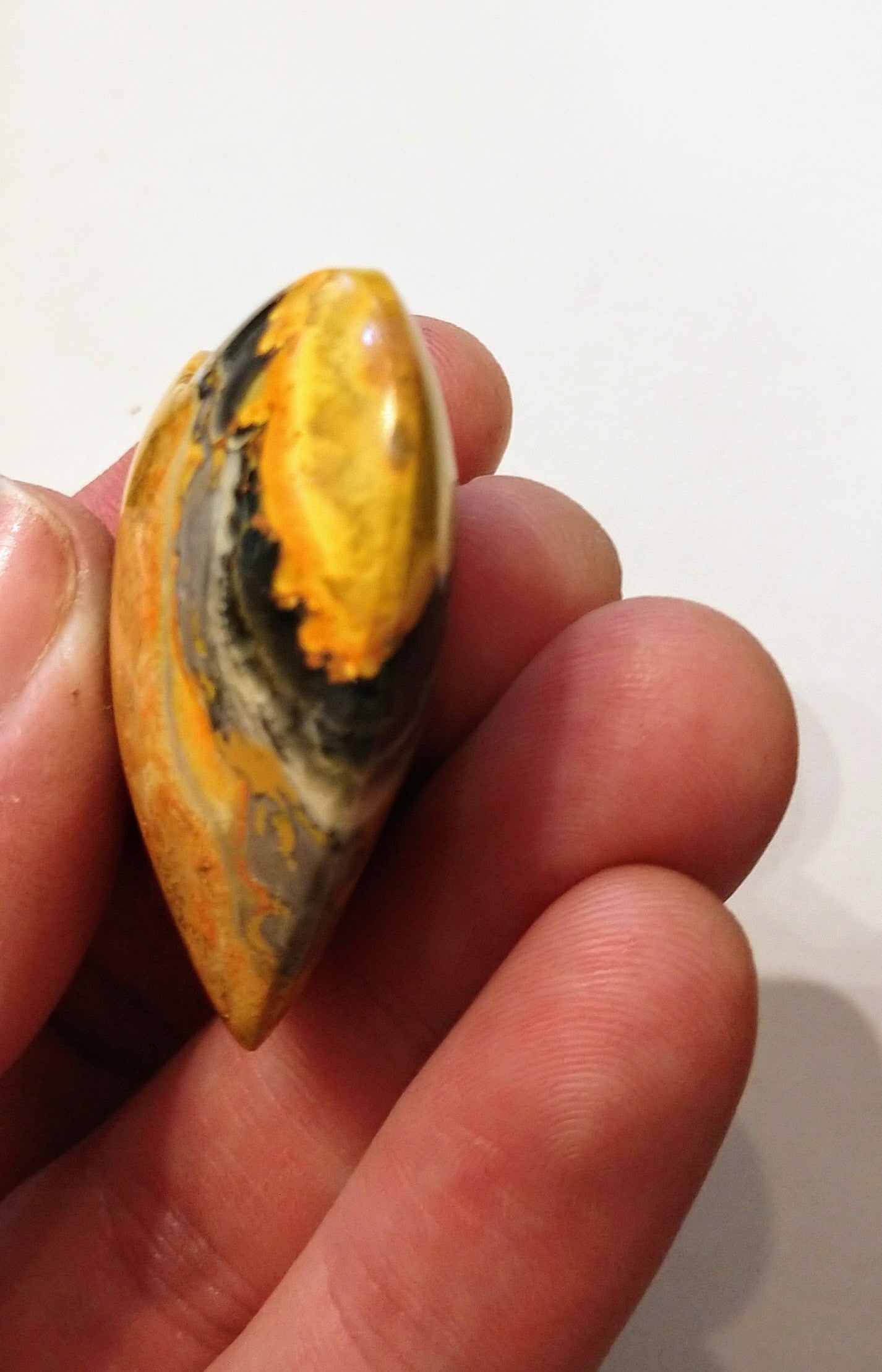 Bumblebee Jasper Heart
