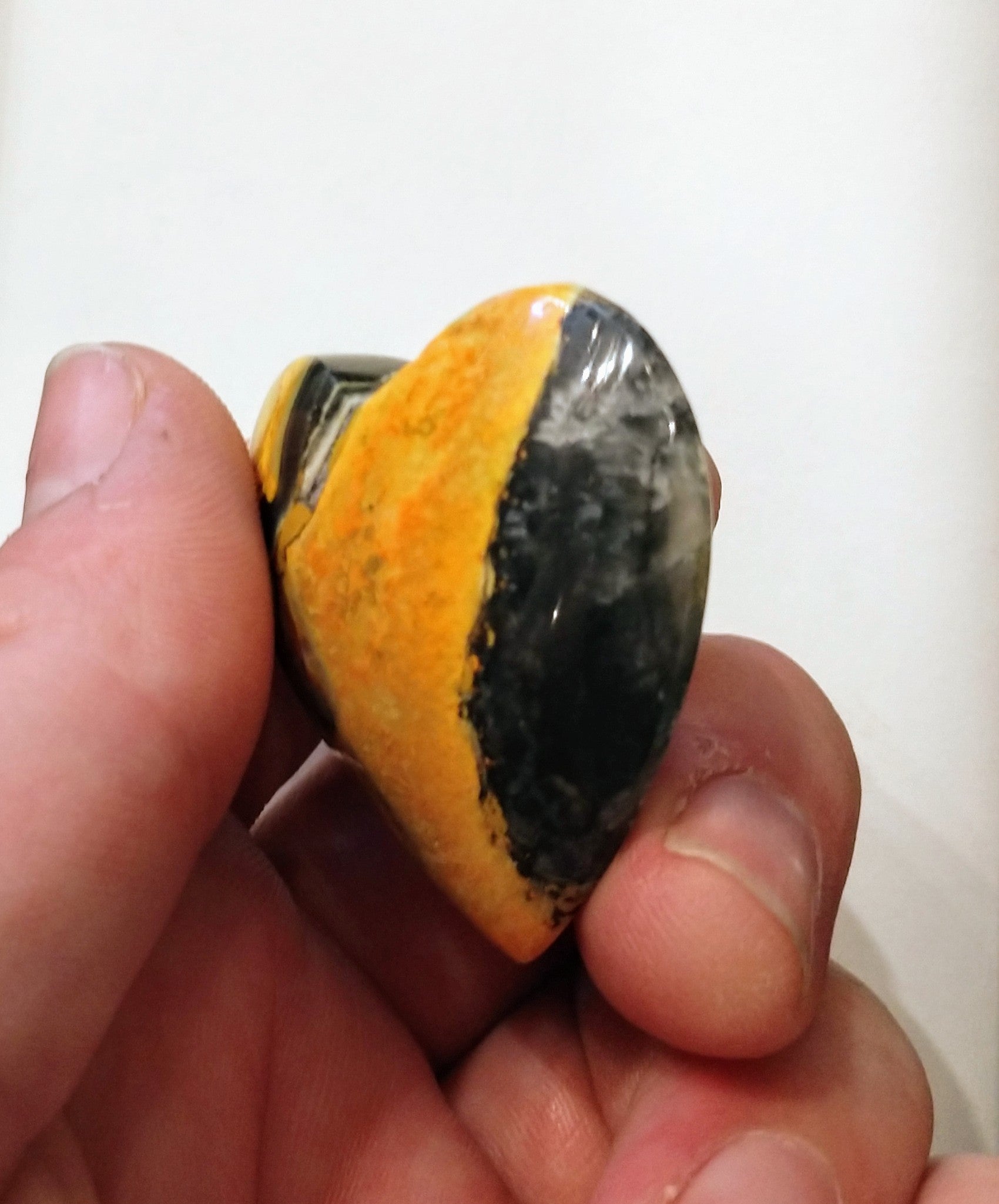 Bumblebee Jasper Heart