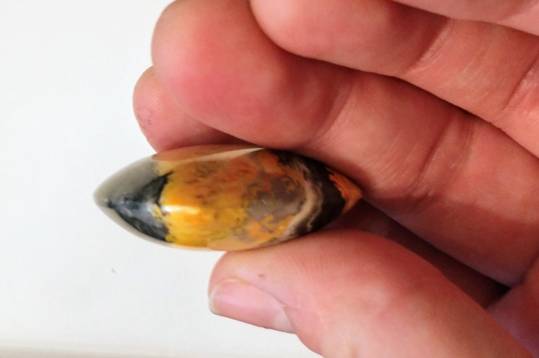Bumblebee Jasper Heart