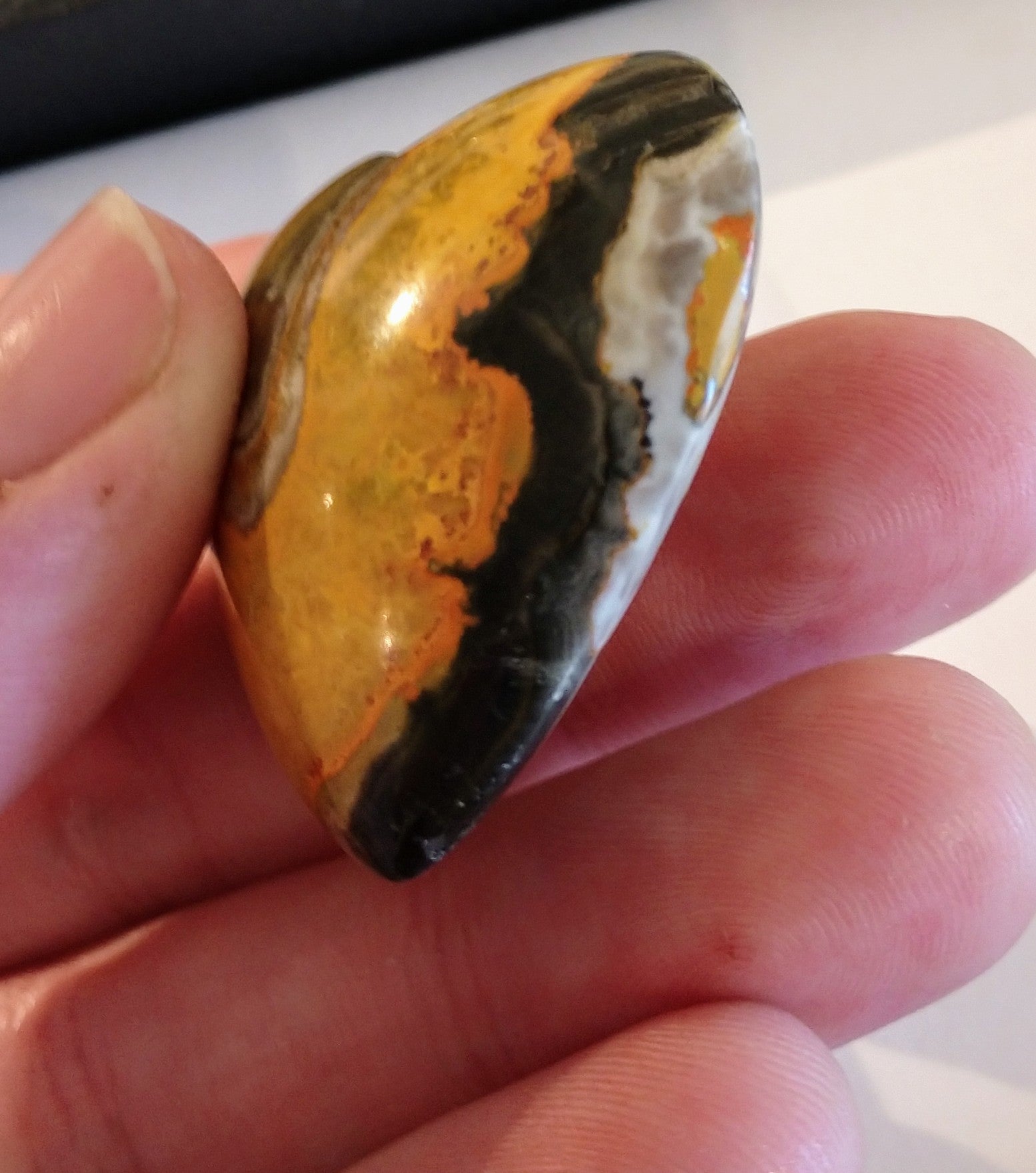 Bumblebee Jasper Heart