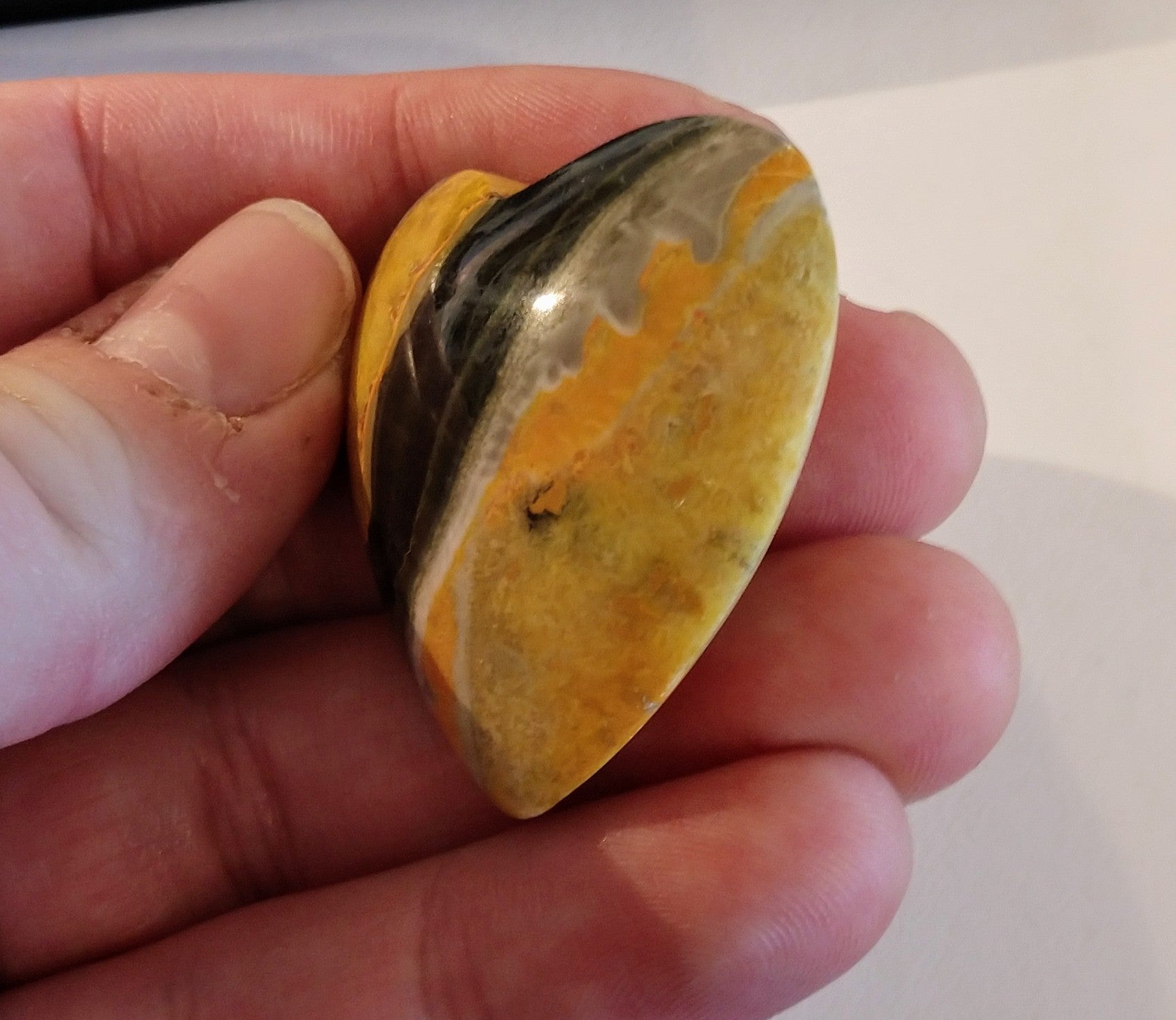 Bumblebee Jasper Heart