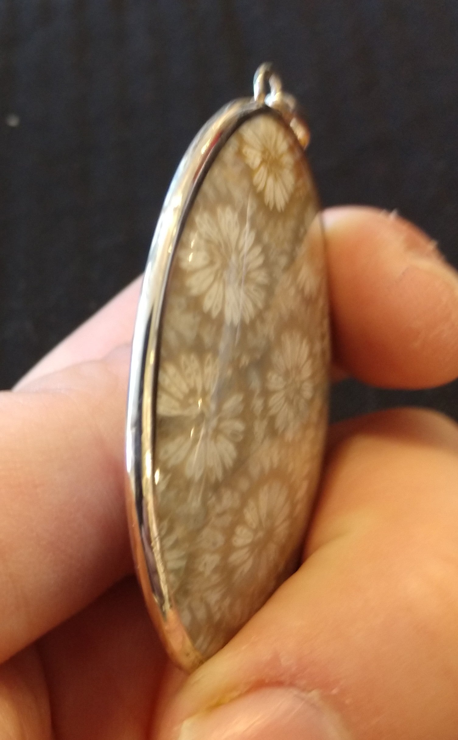 Fossilized Coral Pendant