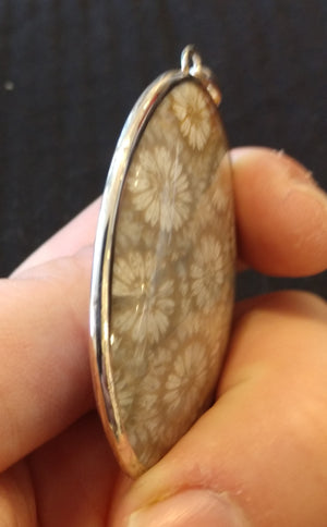 Fossilized Coral Pendant
