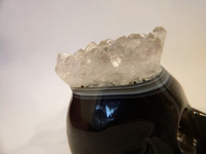 Brazilian Agate Skull with Quartz Crown