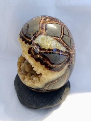 Septerian Egg