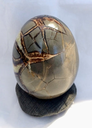 Septerian Egg