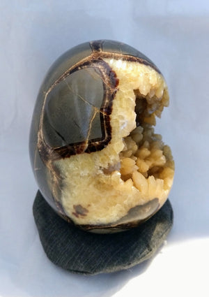 Septerian Egg