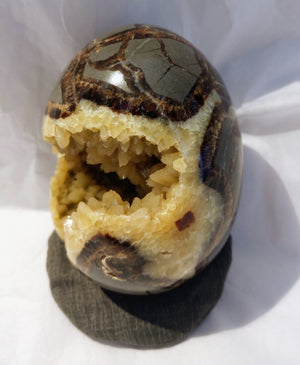 Septerian Egg