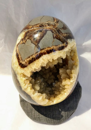 Septerian Egg