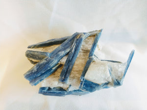Blue Kyanite and Quartz