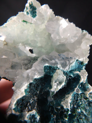 Shattuckite w/ Quartz