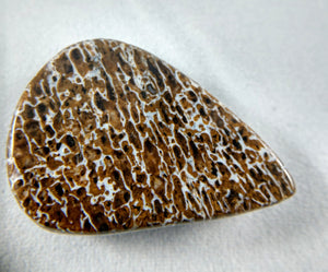Dinosaur Bone Cabochon