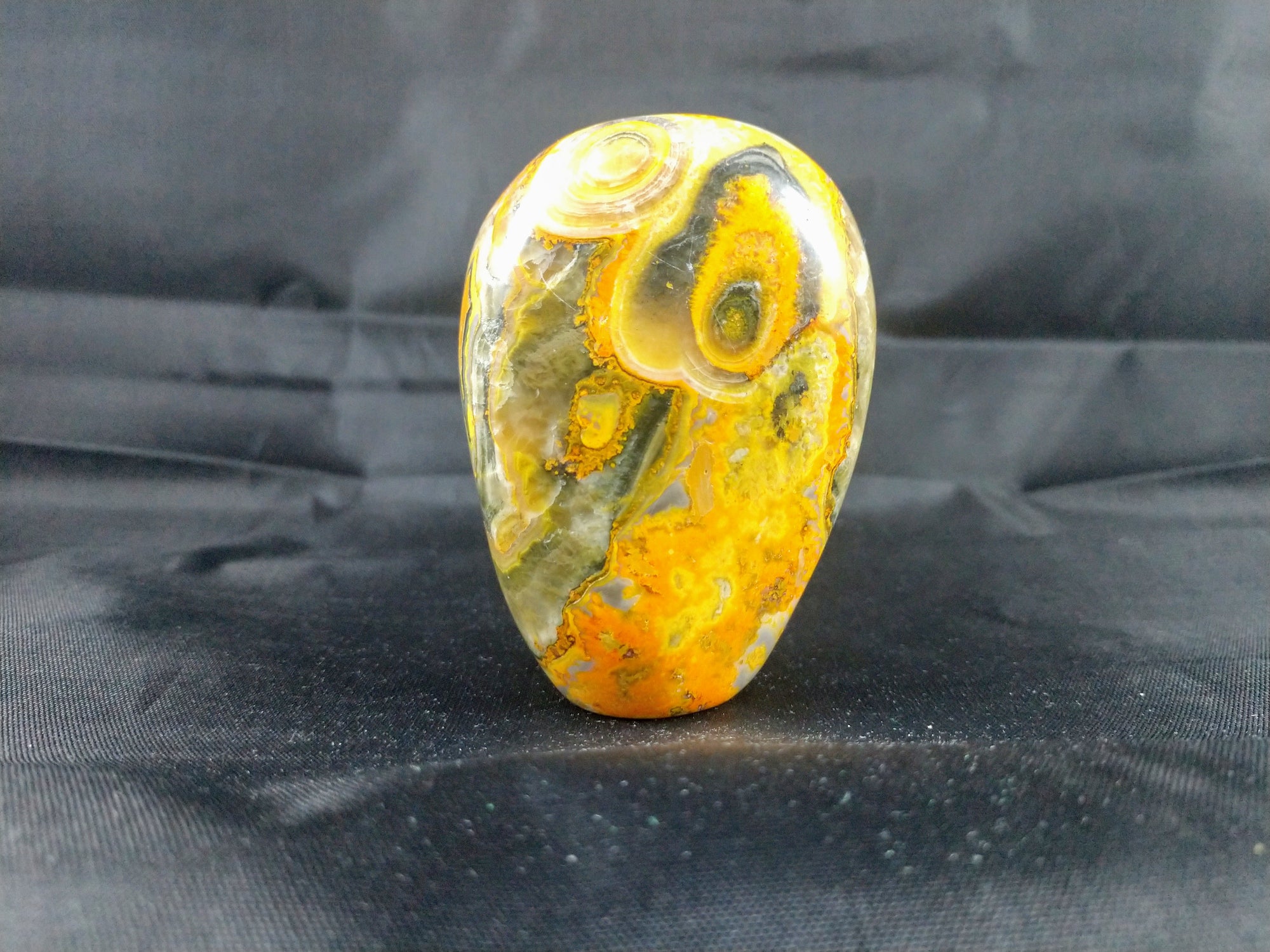 Bumblebee Jasper Free From