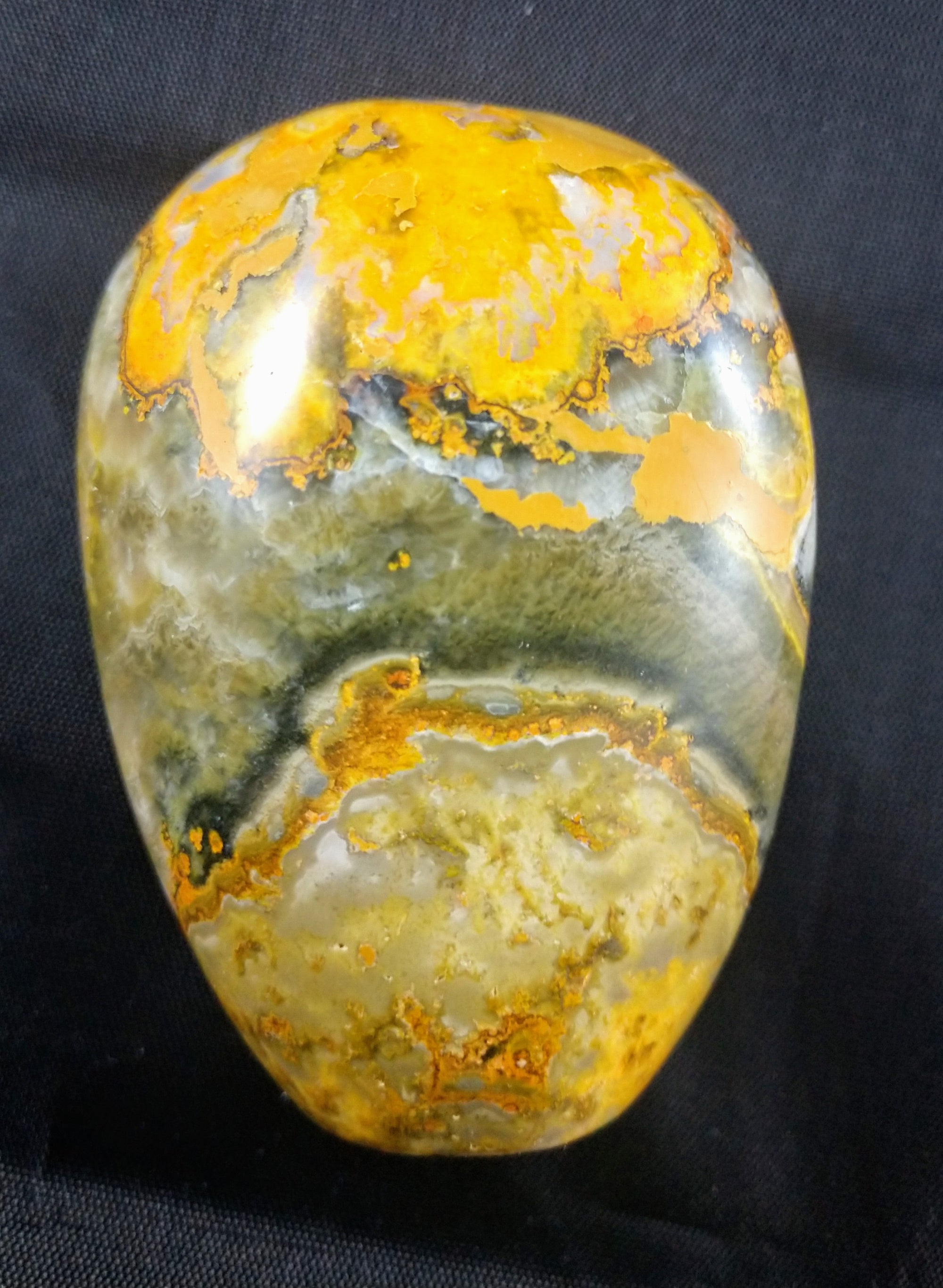 Bumblebee Jasper Free From