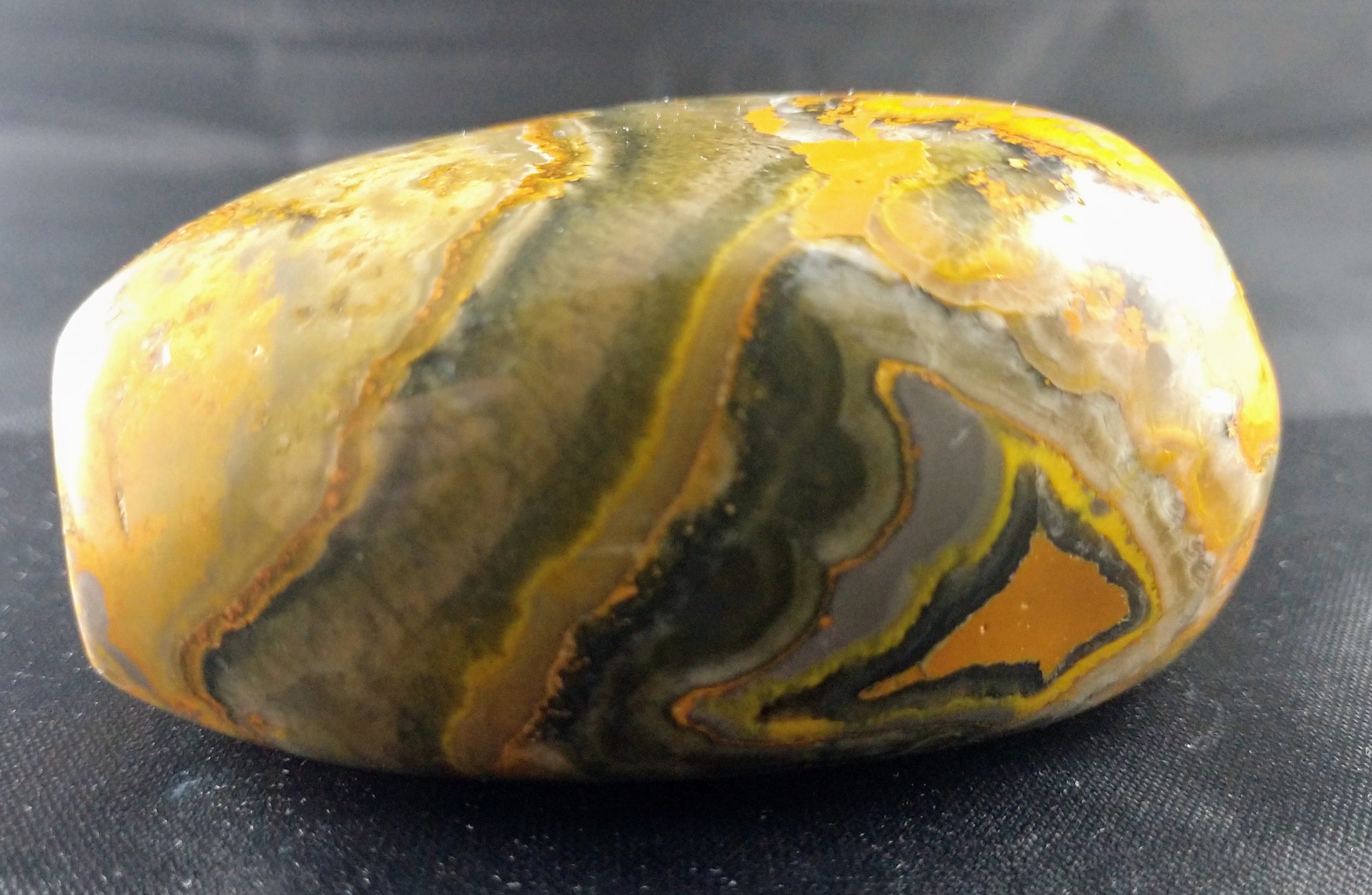 Bumblebee Jasper Free From