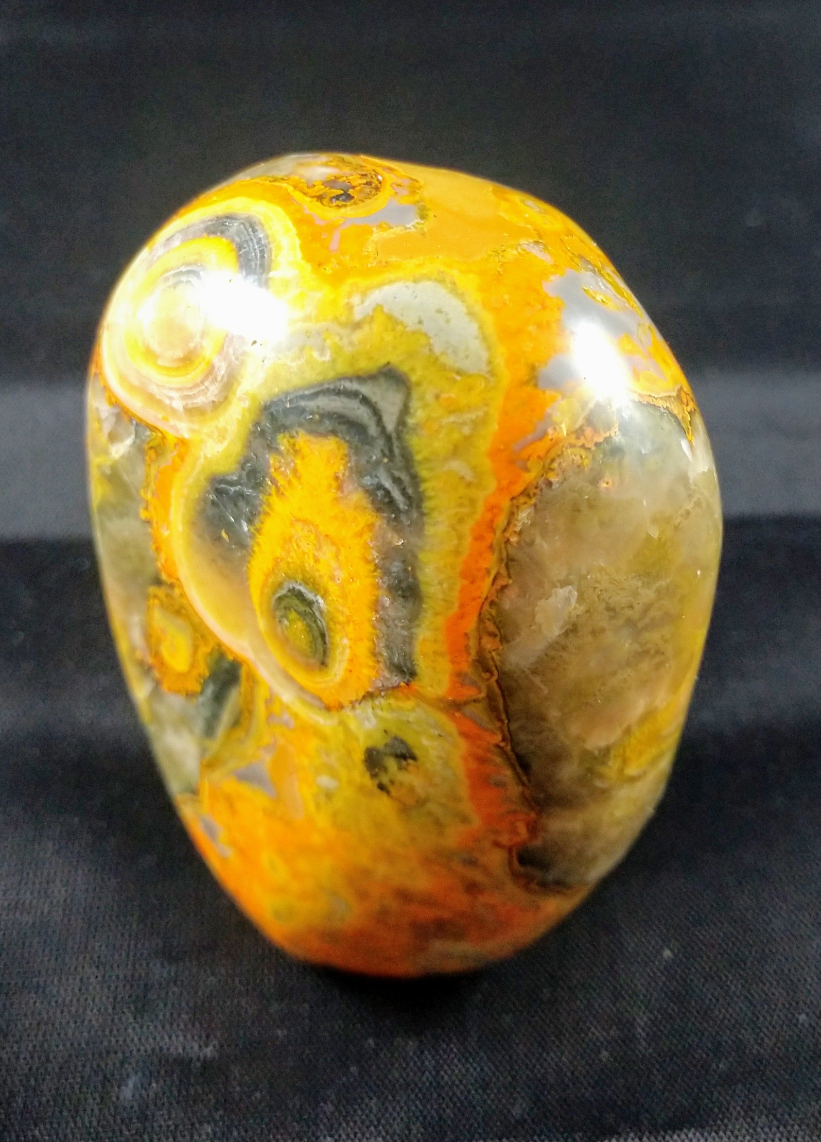 Bumblebee Jasper Free From