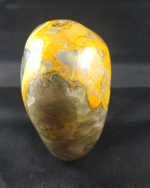 Bumblebee Jasper Free From