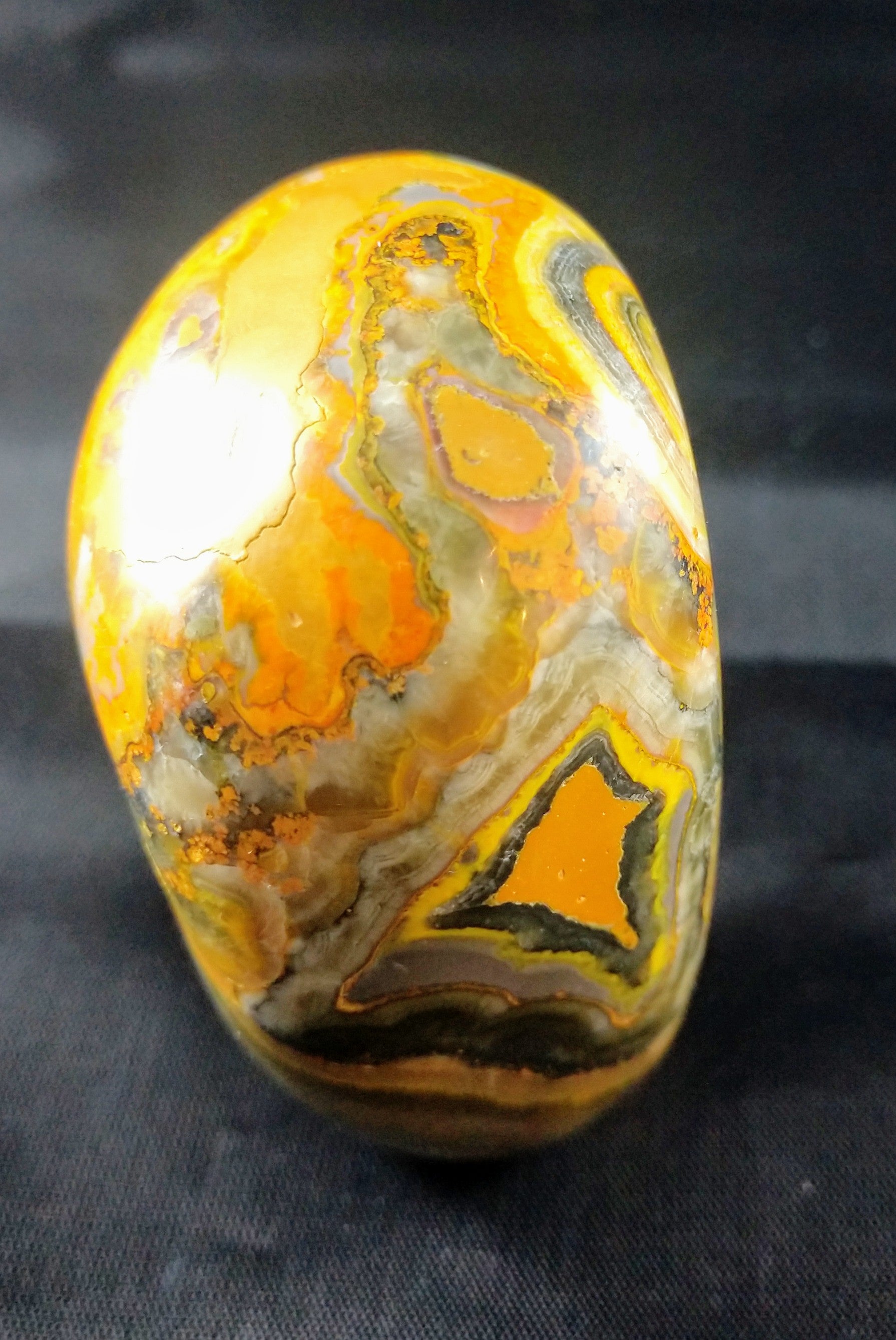 Bumblebee Jasper Free From
