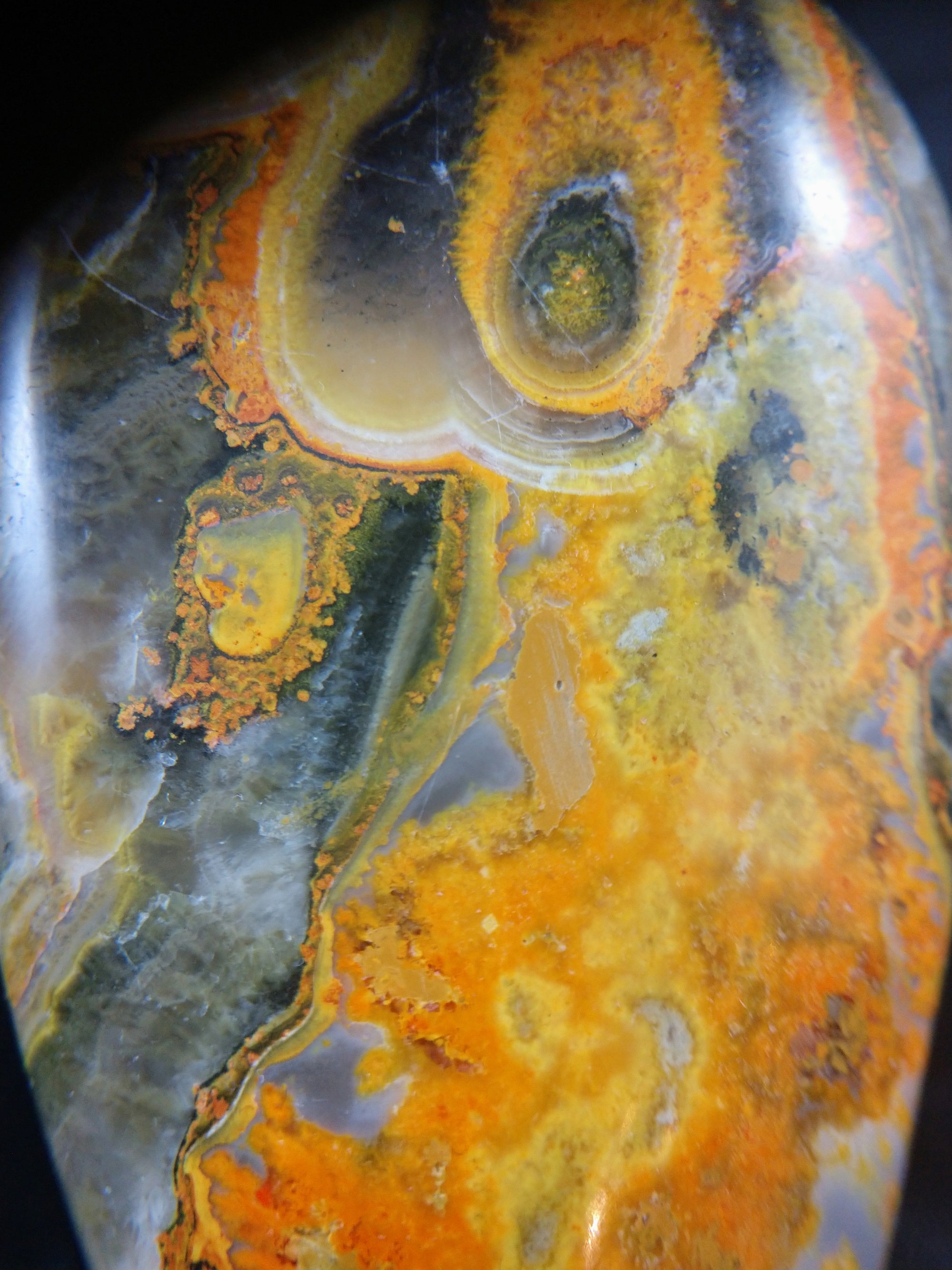 Bumblebee Jasper Free From