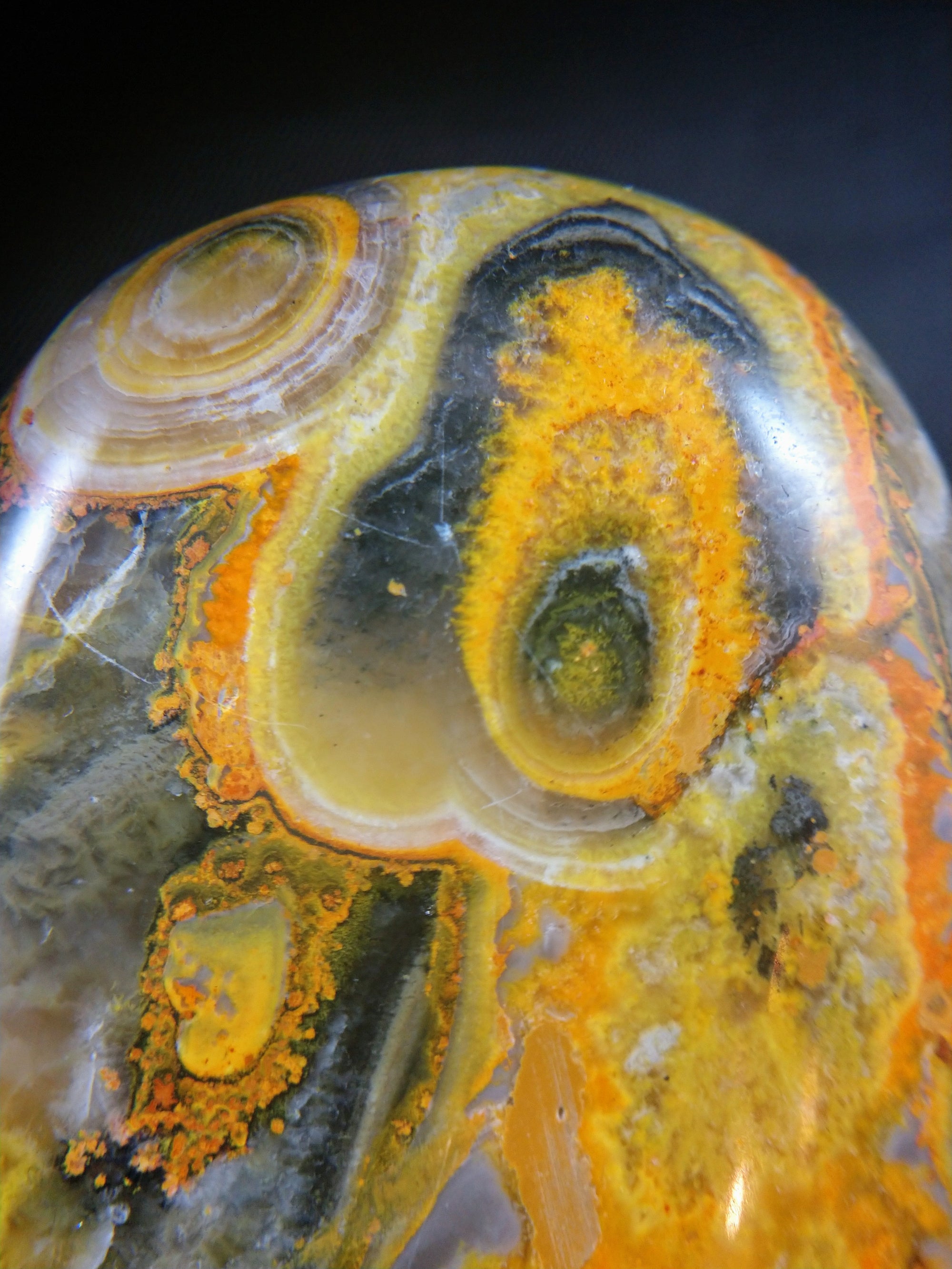 Bumblebee Jasper Free From