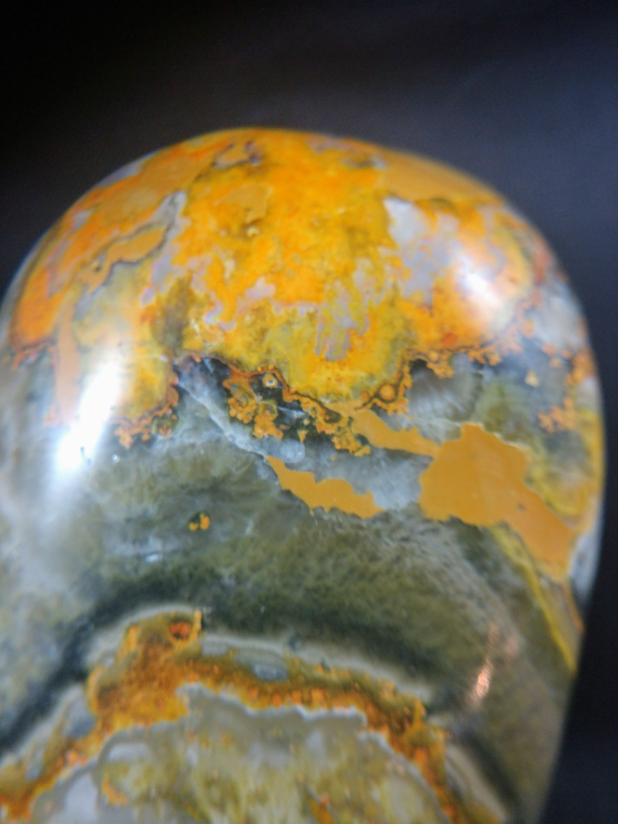 Bumblebee Jasper Free From