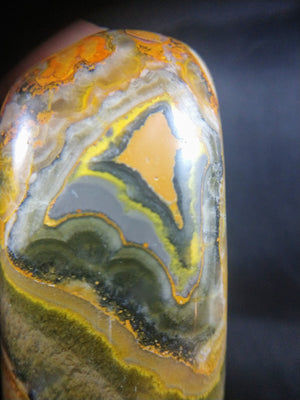Bumblebee Jasper Free From