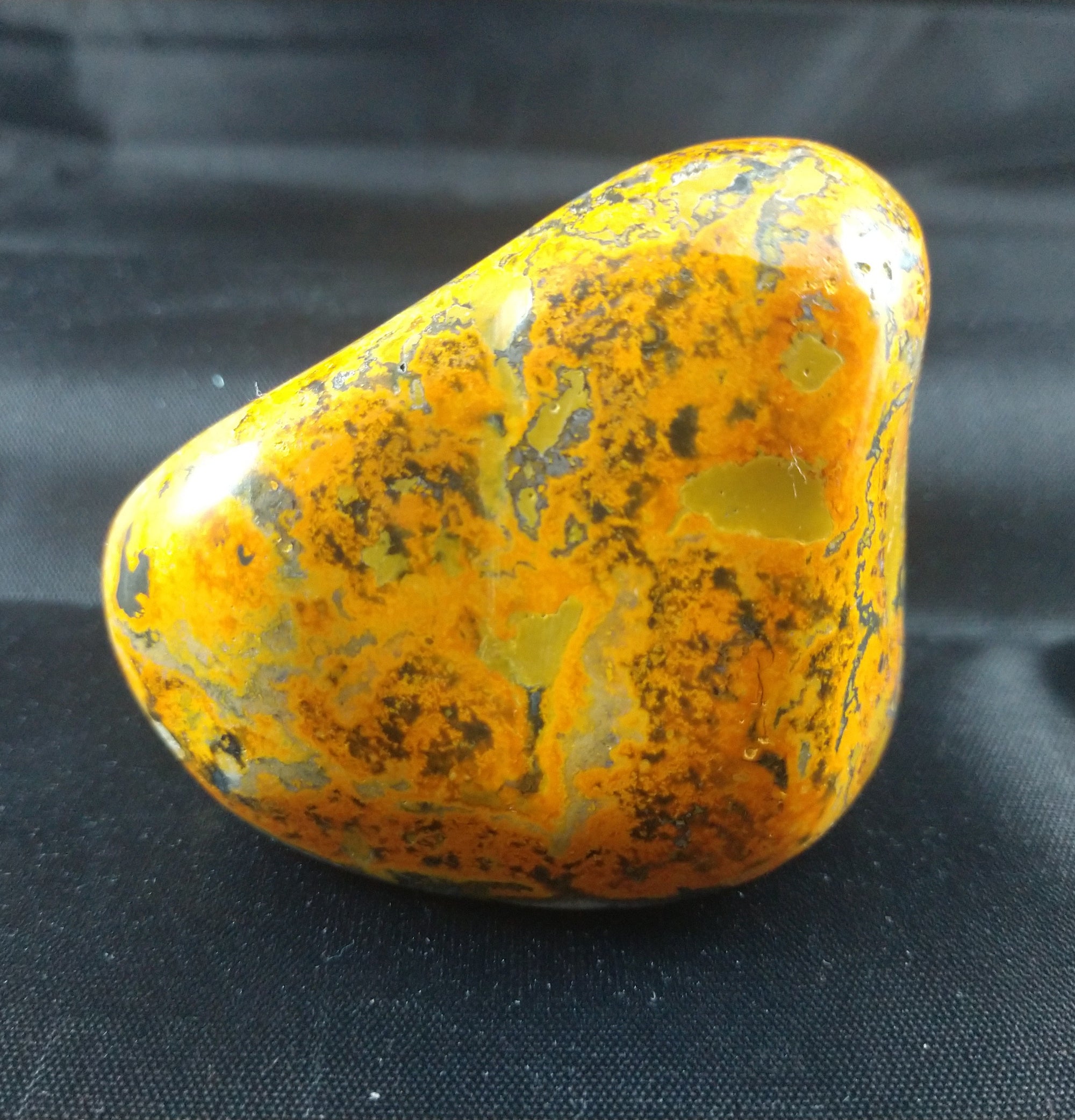 Bumblebee Jasper Free From