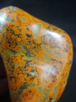 Bumblebee Jasper Free From