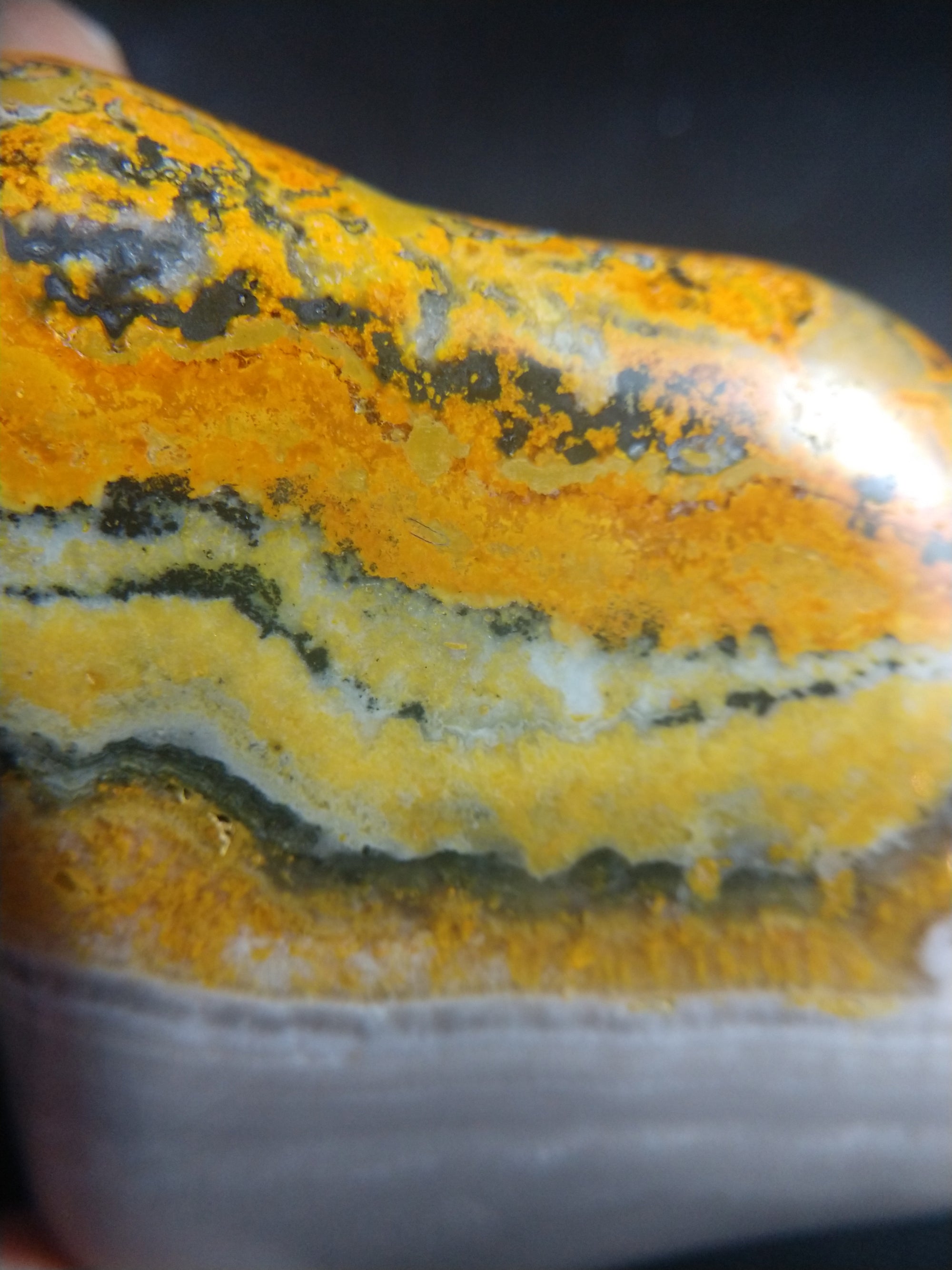 Bumblebee Jasper Free From
