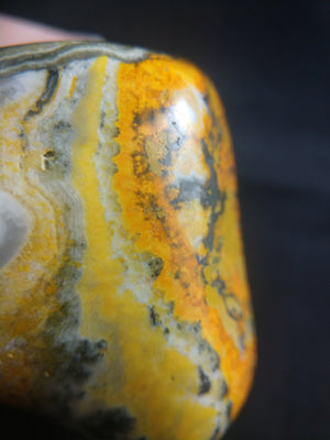 Bumblebee Jasper Free From