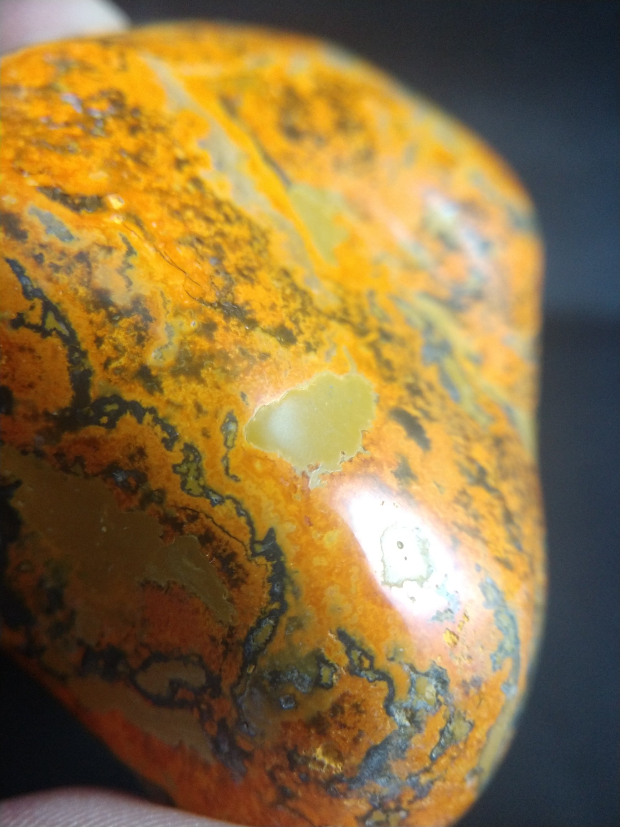 Bumblebee Jasper Free From
