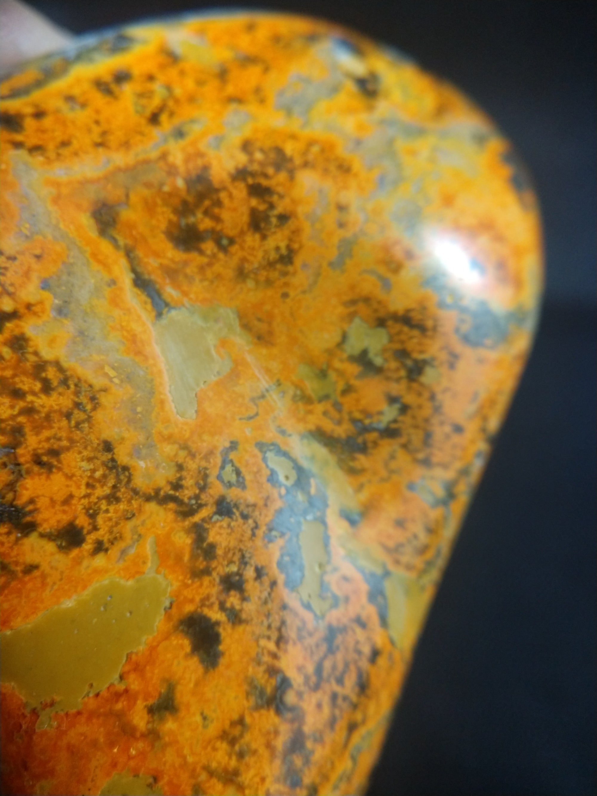 Bumblebee Jasper Free From