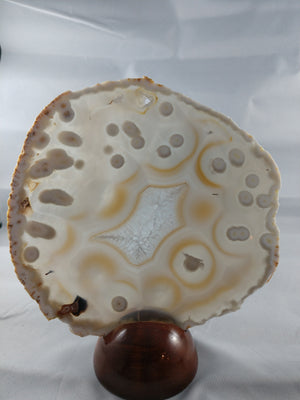 Agate Slice with Wooden Display Stand