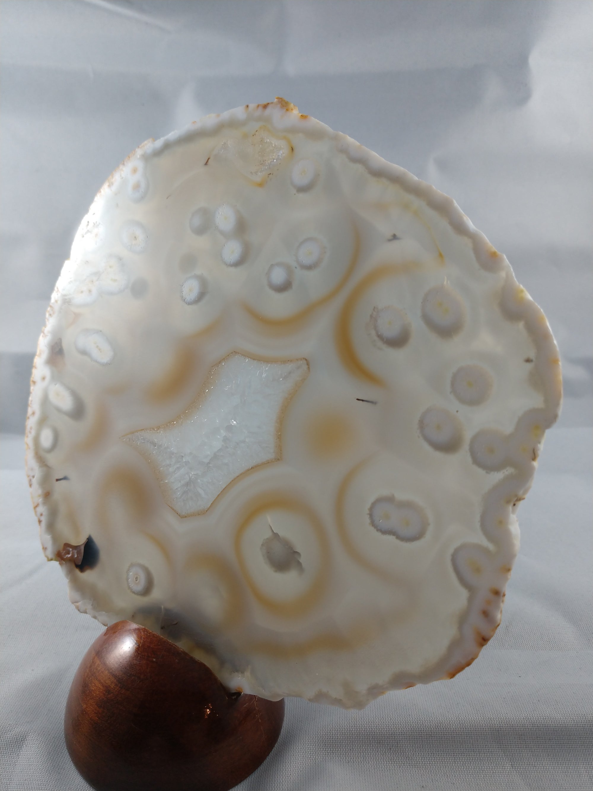 Agate Slice with Wooden Display Stand