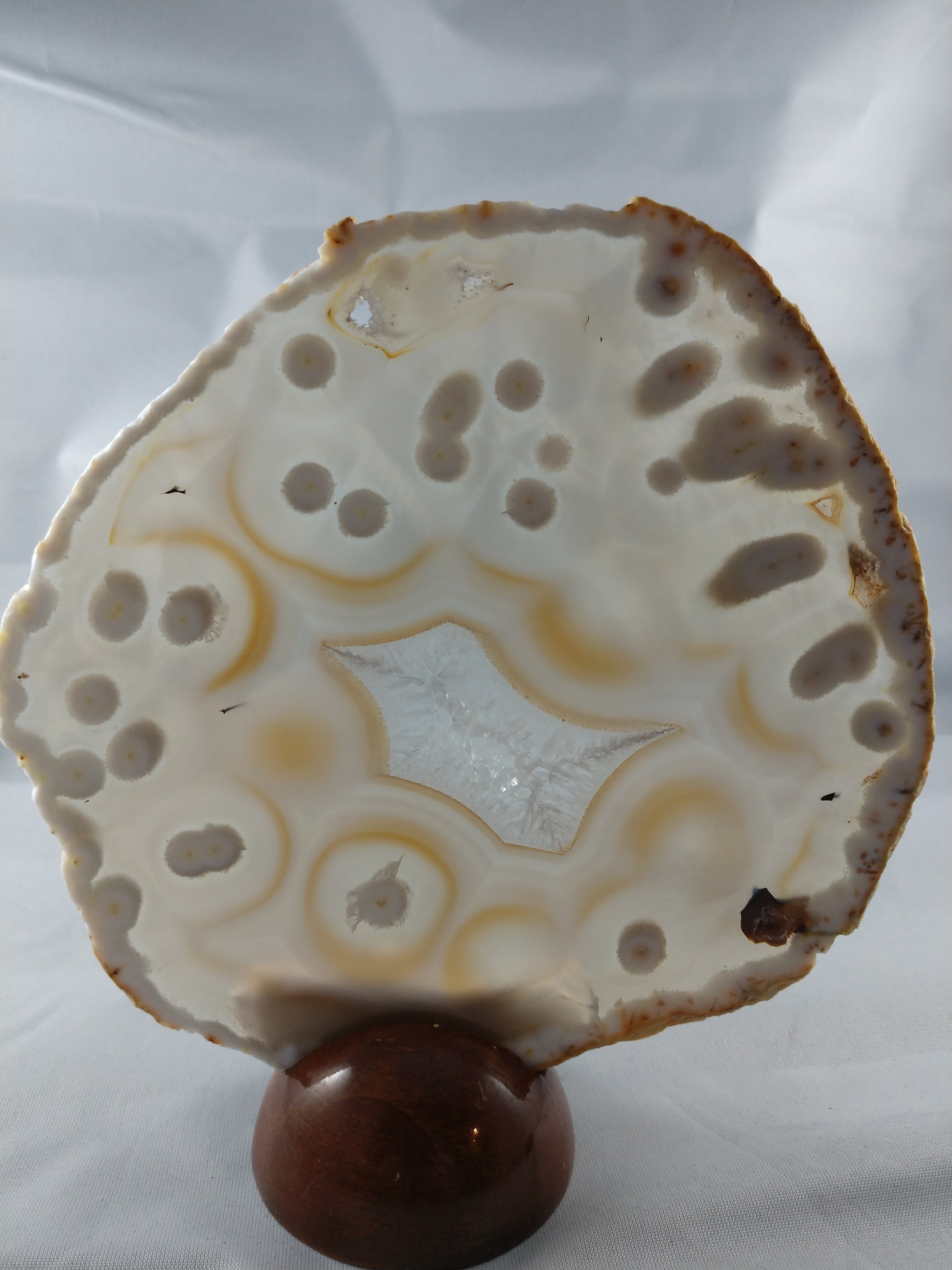 Agate Slice with Wooden Display Stand