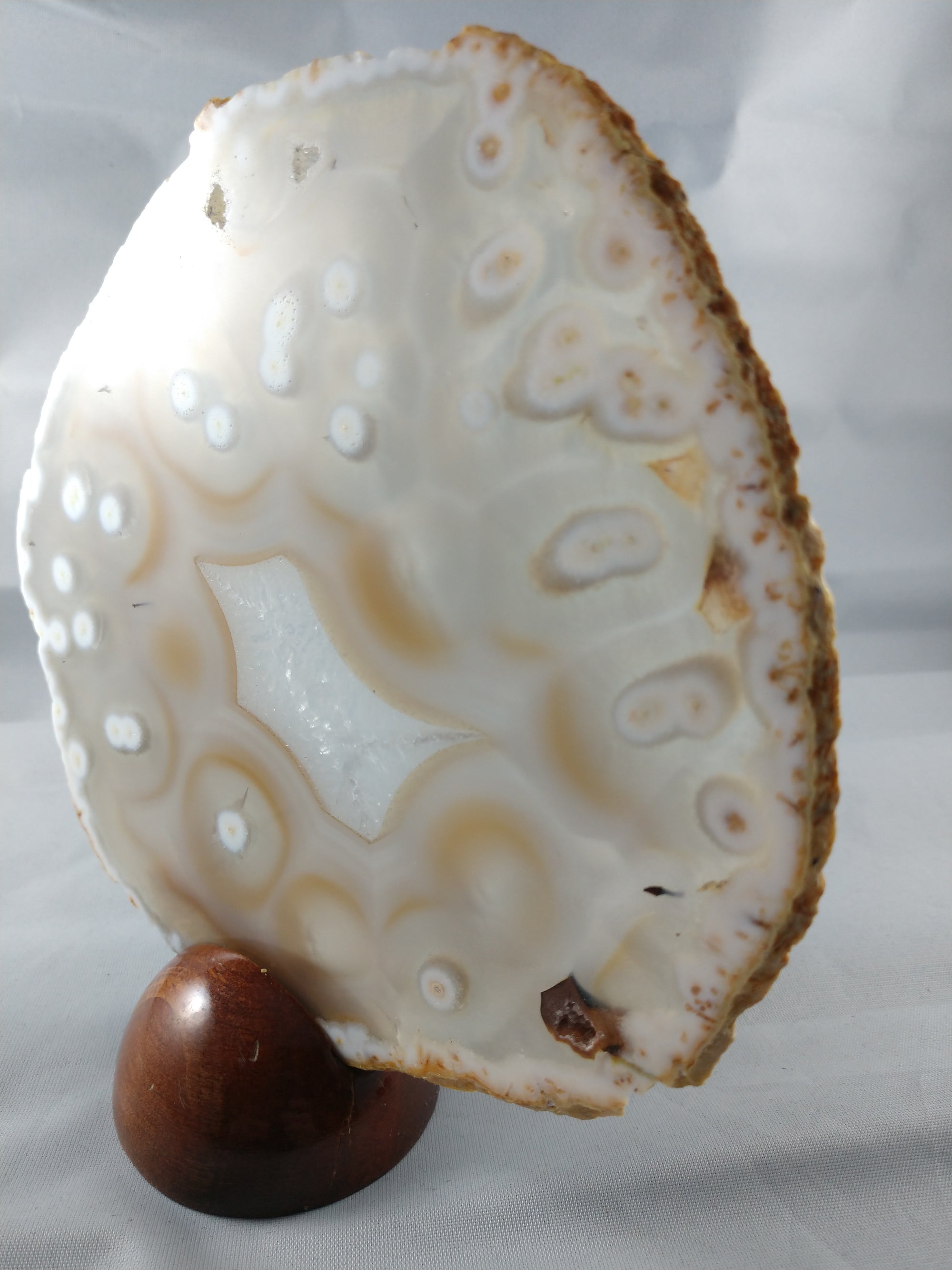 Agate Slice with Wooden Display Stand