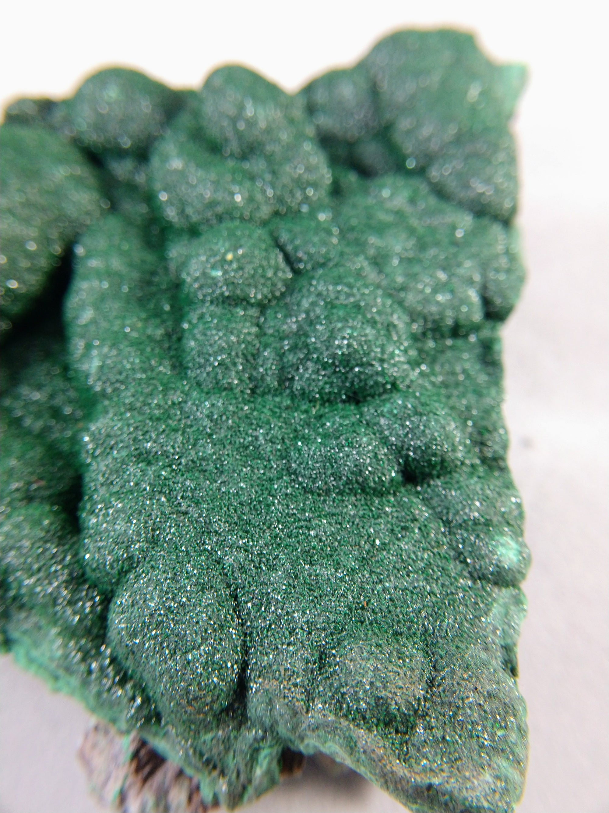 Botryoidal Malachite from the Congo