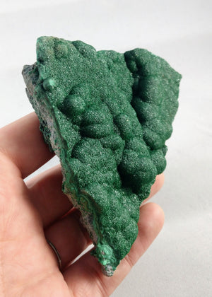 Botryoidal Malachite from the Congo
