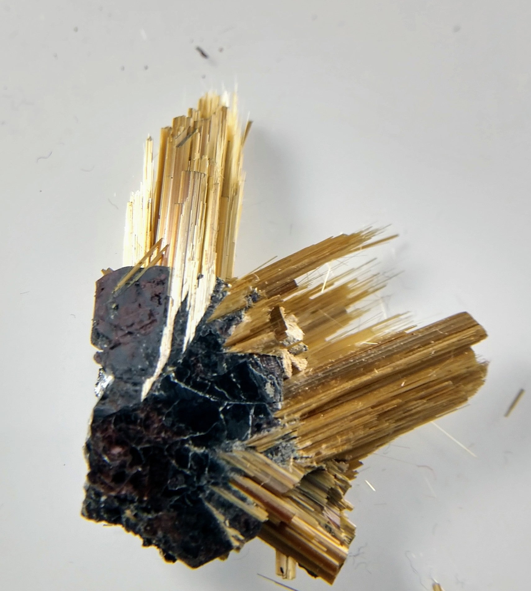 Rutile and Hematite from Brazil