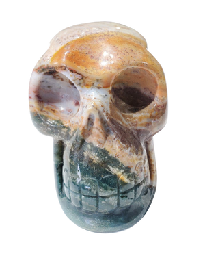 Sea Jasper Skull (Madagadcar)