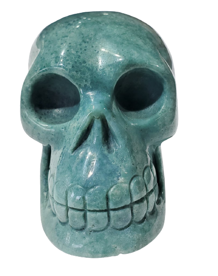 Sea Jasper Skull (Madagascar)