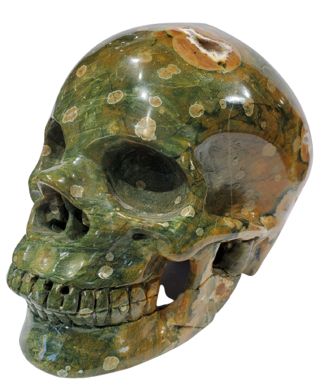 Rainforest Jasper Skull