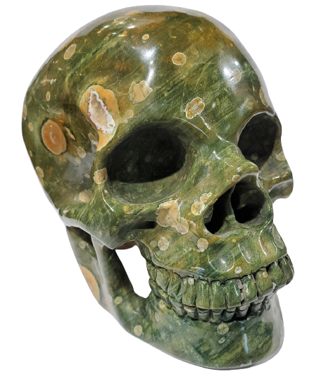 Rainforest Jasper Skull