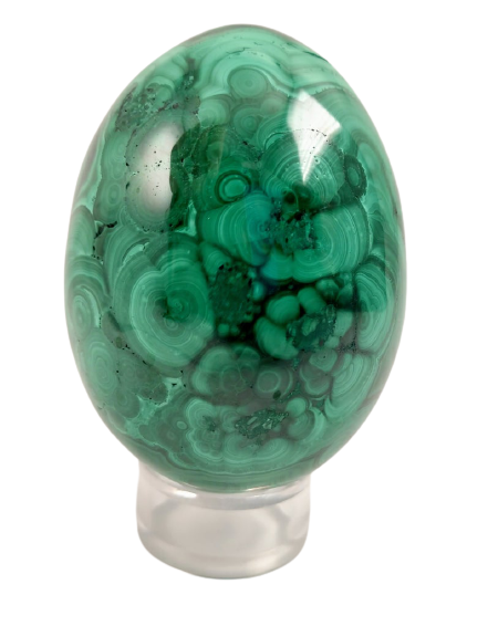 Malachite Egg, DRC